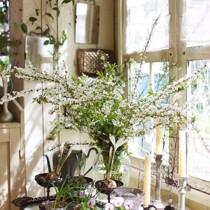 Snow willow dry branch water flower arrangement Snow willow flowers spray snowflake pearl plum snow willow dry branch flowers bloom in case of water