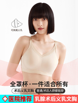 Prosthetic Bra Traceless Bra 2-in-1 Fake Mastectomy Underwear Lightweight Silicone Mammary Gland Postoperative Specialty Fake Chest