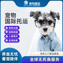 Pet shipping services nationwide Beijing Shanghai Guangzhou Shenzhen special car transportation air transportation of cats and dogs domestic and international express