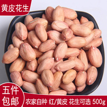 Five pieces of Sichuan farmers self-planted peanuts red-skinned peanuts yellow-skinned dried peanuts can be made as soy milk 500g
