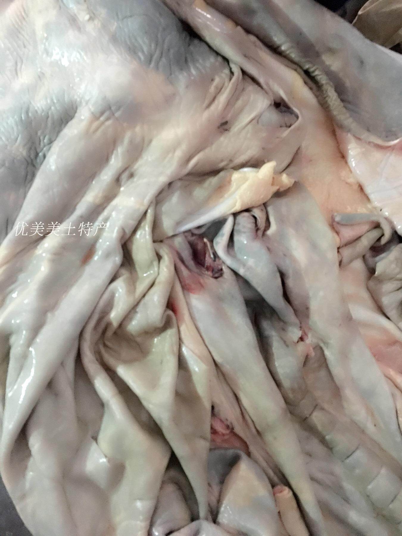 驴皮 新鲜生驴皮 烫毛黑驴皮500g正宗生驴肉阿胶原料真空现宰批