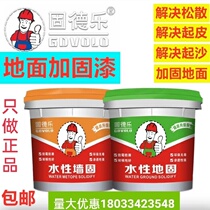 Gude Le ground reinforcement moisture-proof coating roof sand-lifting loose interface reinforcement wall penetration curing agent