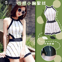 Swimsuit womens summer one-piece skirt conservative thin belly cover sexy small chest gathered flat angle super fairy hot spring swimsuit