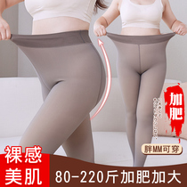 Fat mm big size underpants woman wearing velvet stewer ash in winter and fattening 200 pounds with pantyhose