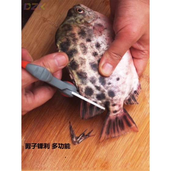 낚시를위한 강화 된 재료 특수 가위 휴대용 리드 다기능 Dalima PE 라인 낚시 기어 스테인리스 스틸 작은 전단 X3 낚시를위한 강화 된 재료 특수 가위 휴대용 리드 다기능 Dalima PE 라인 낚시 기어 스테인리스 스틸 작은 전단 X3