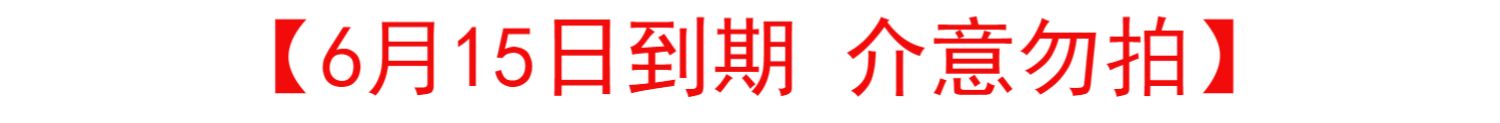 凑单109健力士黑啤进口世涛440ml*12听