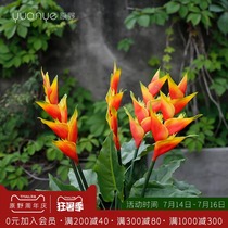 Pastoral wind Bird of paradise false flower simulation flower Crane Wanglan Hand moisturizing hanging banana Peacock flamingo leaf subtropical plant