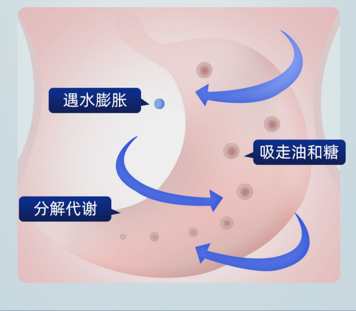 百年玖福堂夜间酵素塑身清宿便