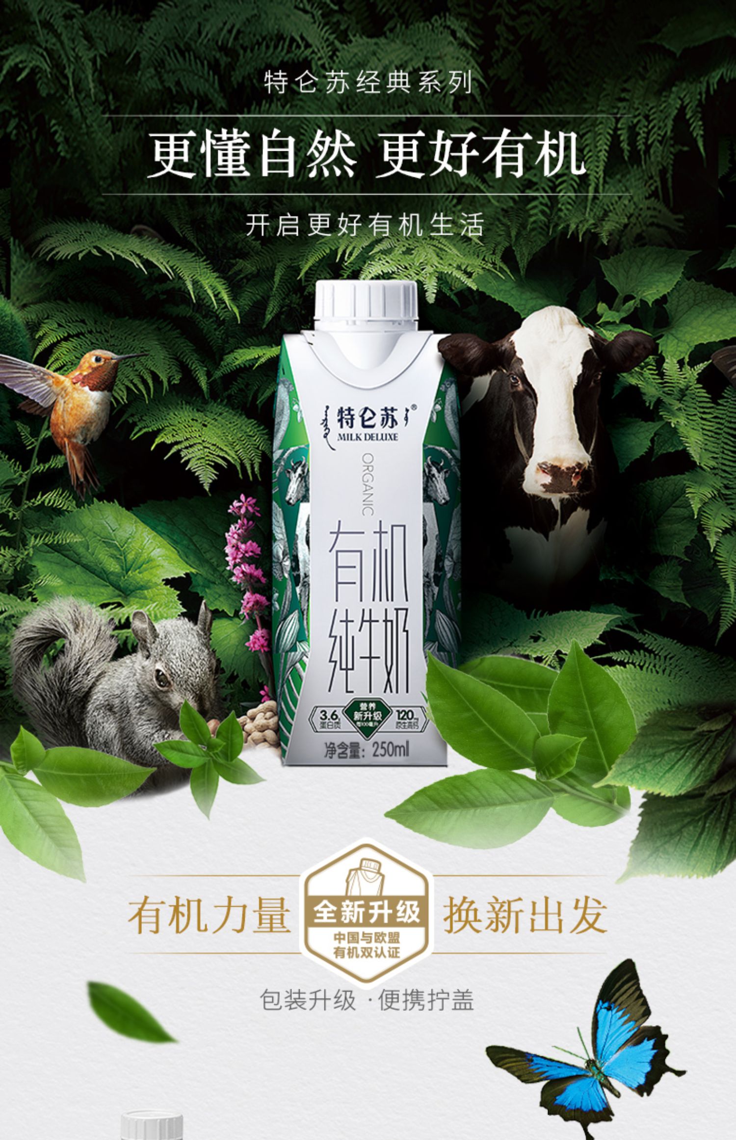 特仑苏有机纯牛奶梦幻盖250ml*24包 牛奶整箱 营养奶