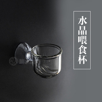 Glass Feeders Red Worm Cups Blood Worm Cups Nematodes Cup Pitcher Feeding Cups Funnale Shrimp Feed Feeding Funnel