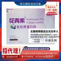 Xi Ji wooshi blueberry anthocyanin fruit and vegetable probiotic fish collagen peptide protein probiotic so frozen non-light