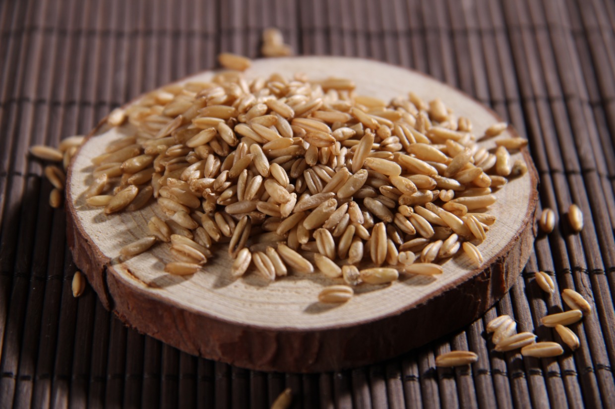 燕麦米燕麦仁燕麦粒 农家自产营养燕麦米 无任何加工杂粮燕麦_双氙