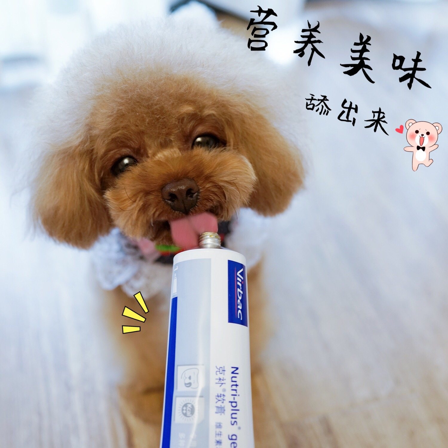 法国维克virbac克补软膏猫咪狗狗营养膏维生素宠物保健品