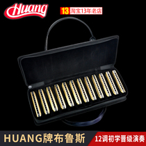 Yellow harmonica 10-hole blues beginner 12-key set 103-1_SET12 blues ten-hole harmonica