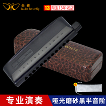 Kingdee chromatic harmonica 12-hole students use beginner WH12 frosted black professional performance-level half-syllable harmonica