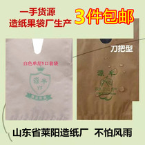 Mango loquat not knowing fire pear bag peach apple pear guava navel Orange Guava citrus fruit bag lemon bag