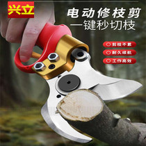 Importing 5 cm vertical anti-shear hand electric pruning scissors handheld rechargeable garden fruit tree pruning machine branches
