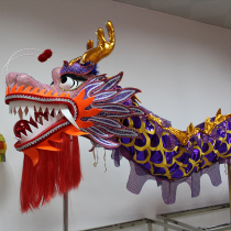 Zijin Dragon Dragon Lantern Dance Dragon Five Millennium Dragon Lantern Luminous Dragon Dance Lion Dance Props Guangdong Dragon Lantern Foshan Dragon Lantern