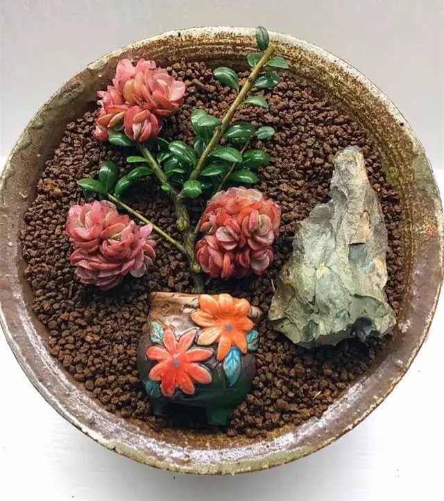 传说中2017年多肉植物的最新玩法!