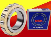 Short cylindrical roller bearing without outer ring Japan NSK precision bearing RN206M RN205M