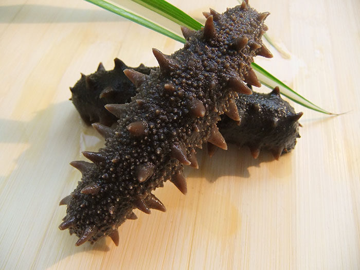 野生淡干海参 辽参 大连刺参 獐子岛海参 50克 包邮