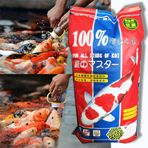 Color-enhancing vegetarian Koi fish food Color-enhancing special fish food Breeding spirulina floating particles goldfish feed universal