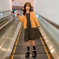 Girls' autumn suit dress children's net popular Western style 2022 new Korean style fashion big children's clothes girls' clothes trendy