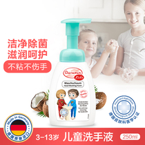 Germany daromi childrens foam hand sanitizer 250ml clean moisturizing and moisturizing non-flavorless baby