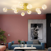 Nordic magic bean starry living room lamp restaurant master bedroom ceiling lamp ins Net Red personality molecule creative romance