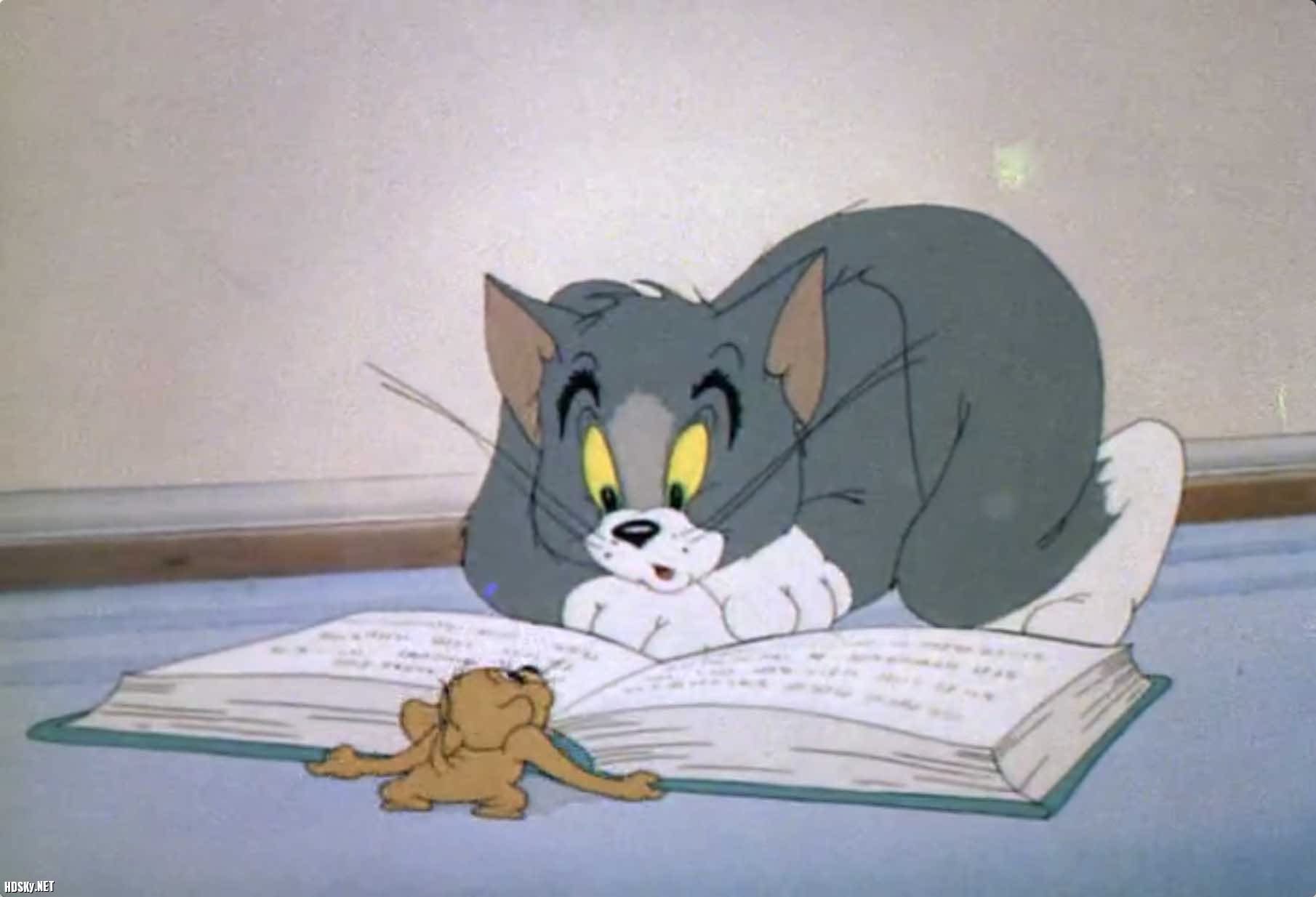 粤语动画《貓和老鼠50周年紀念珍藏版》[全143集] 5碟片DVD | 露天市集| 全台最大的網路購物市集