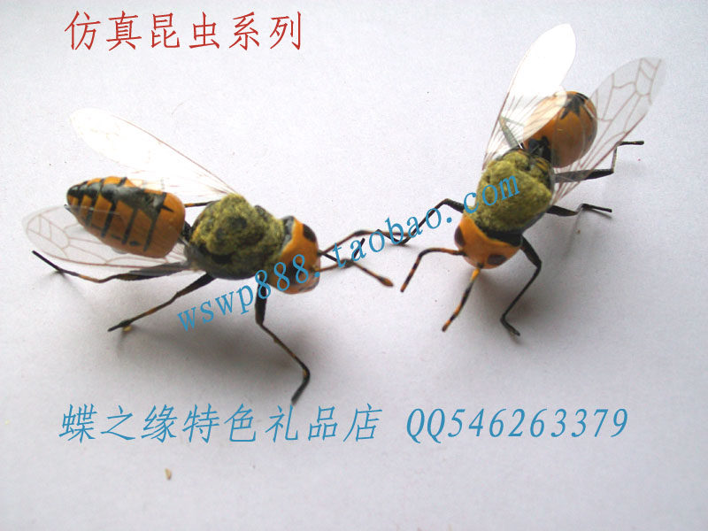 黄蜂蜜蜂 高仿真粘土昆虫磁性冰箱贴动物玩偶昆虫道具