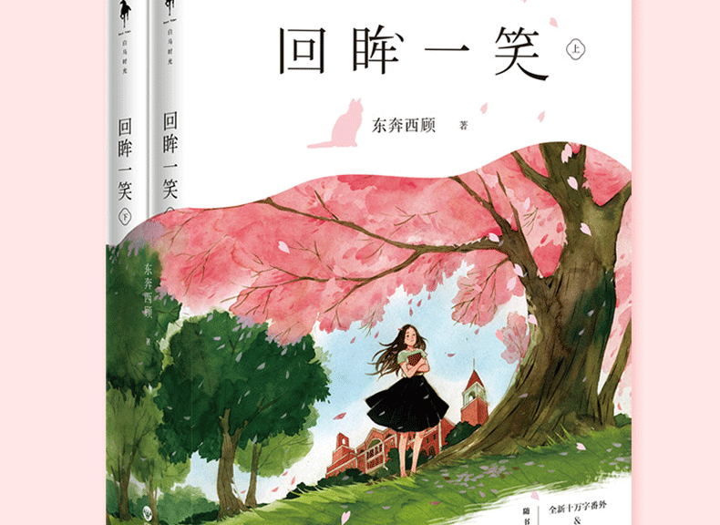 正版现货 回眸一笑 东奔西顾 青春文学书籍小说 只想和你好好的后