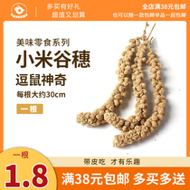 A natural yellow valley ear buy five to send a hamster with zero food grain ears grain ears hamster food tearoo magical