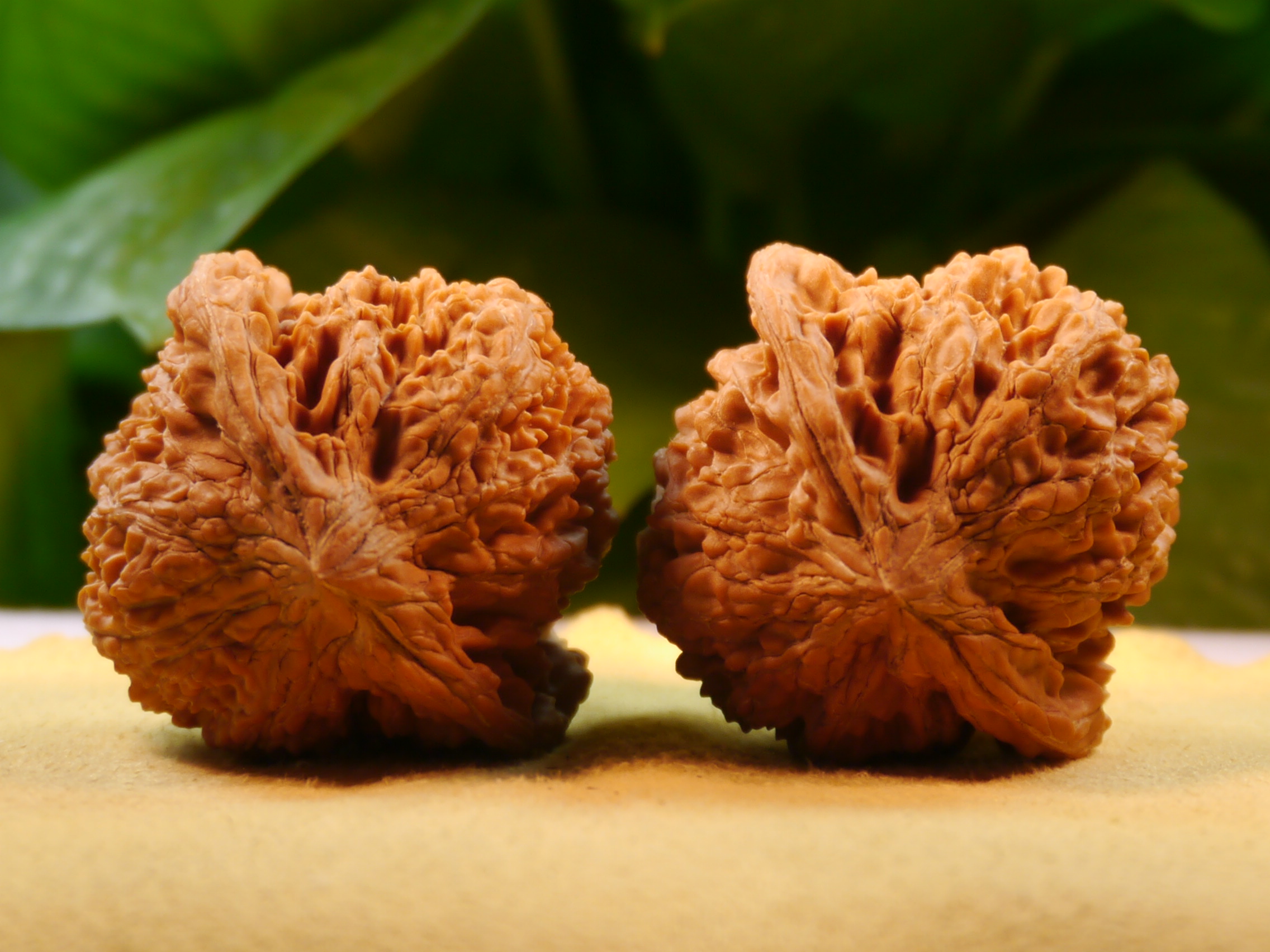 精品满天星狮子头文玩核桃 精品百花山 46mm满天星狮子