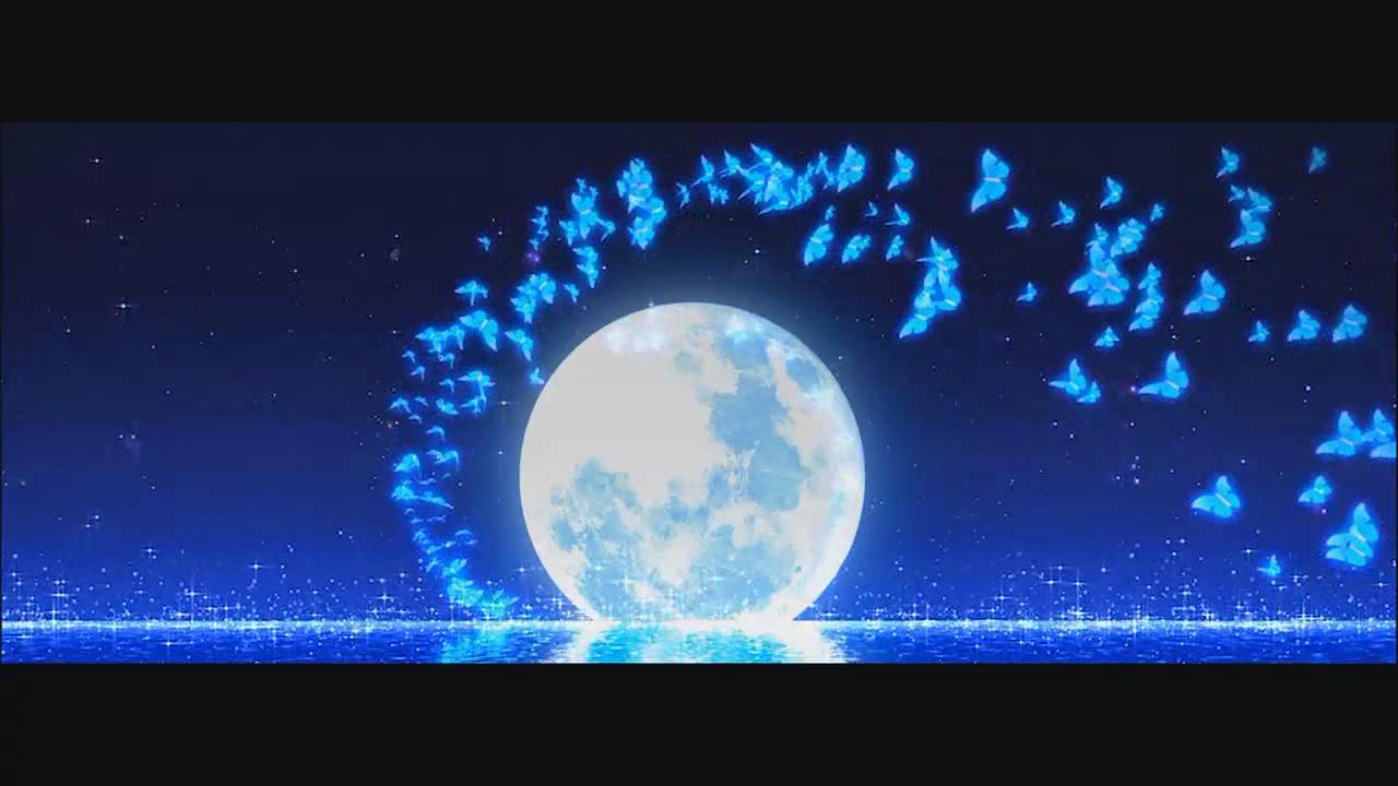 雀之恋 孔雀舞led 月光蝴蝶星空竹林绝美led舞蹈背景视频素材