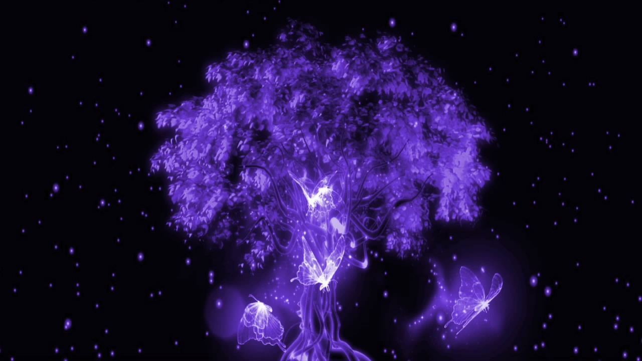 唯美梦幻紫色光效蝴蝶树 大树 蝴蝶飞 芭蕾古典舞空灵