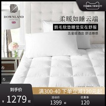 Goose feather cushion feather mattress hotel thick double cushion household single quilt mattress tatami folding thin model