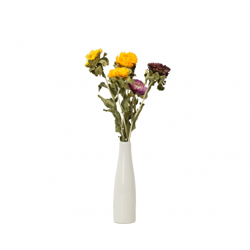 To embellish the Daisy flower bouquet little bunch of mini rose decorative furnishing articles Nordic ceramic vase really spend the wind