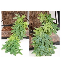 3D landscaping three-dimensional background Board tree root crawling box fish tank background wall lizard cylinder background hermit crab breeding box