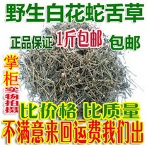 Pure natural Chinese herbal medicine wild Hedyotis diffusa Hedyotis new dry product 500g