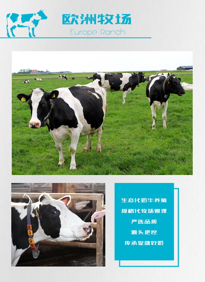 进口德国原装进口绿林贝脱脂纯牛奶1l12