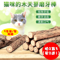 Wood days Polygonum 5 clothes plus coarse cat snacks kitty grinders clean teeth cleaning oral kittens teasing cat supplies