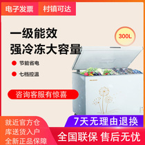 MeiLing Meiling BC Bd-300DT freezer commercial large-capacity household single temperature refrigerated freezer
