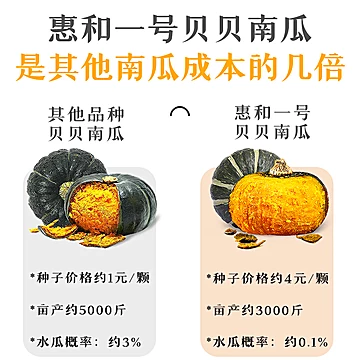 正宗日本惠和一号新鲜粉糯贝贝南瓜5斤[10元优惠券]-寻折猪