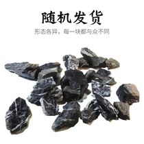 Qinglong stone fish tank landscaping package pickling fine stone pine wood fossil small rockery small ornaments landscaping stone