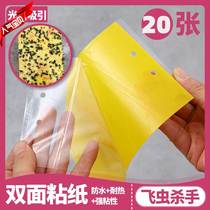 Yellow board double-sided sticky insect board Trap board sticker to kill small flying insects and fruit fly trap Orchard fly greenhouse