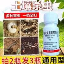 Soil to kill flowers in pots Soil insecticide to kill toilet damp insects Green plants tree roses anti-beating potion