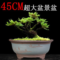 Boutique purple sand shallow flower pot landscape basin large Qingcang Chinese style flower pot high-end landscape bonsai basin Yixing extra large