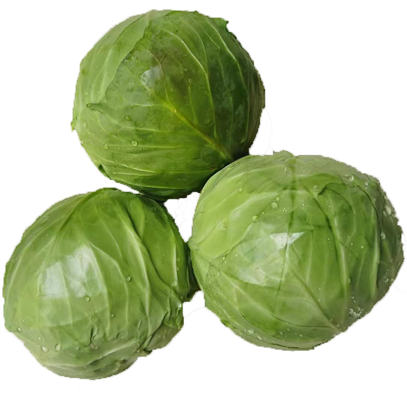 鲜贵 云南新鲜绿甘蓝 10斤装 21元包邮