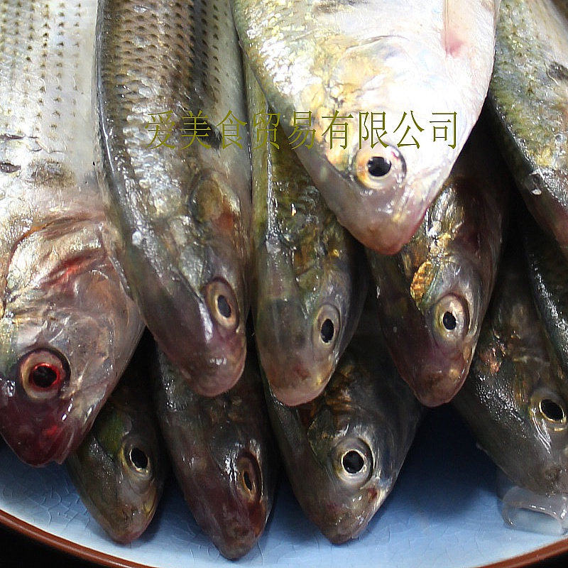 新鲜油扣鱼 油刺鱼 福州地道海鲜 烧烤鱼 (爱美食)